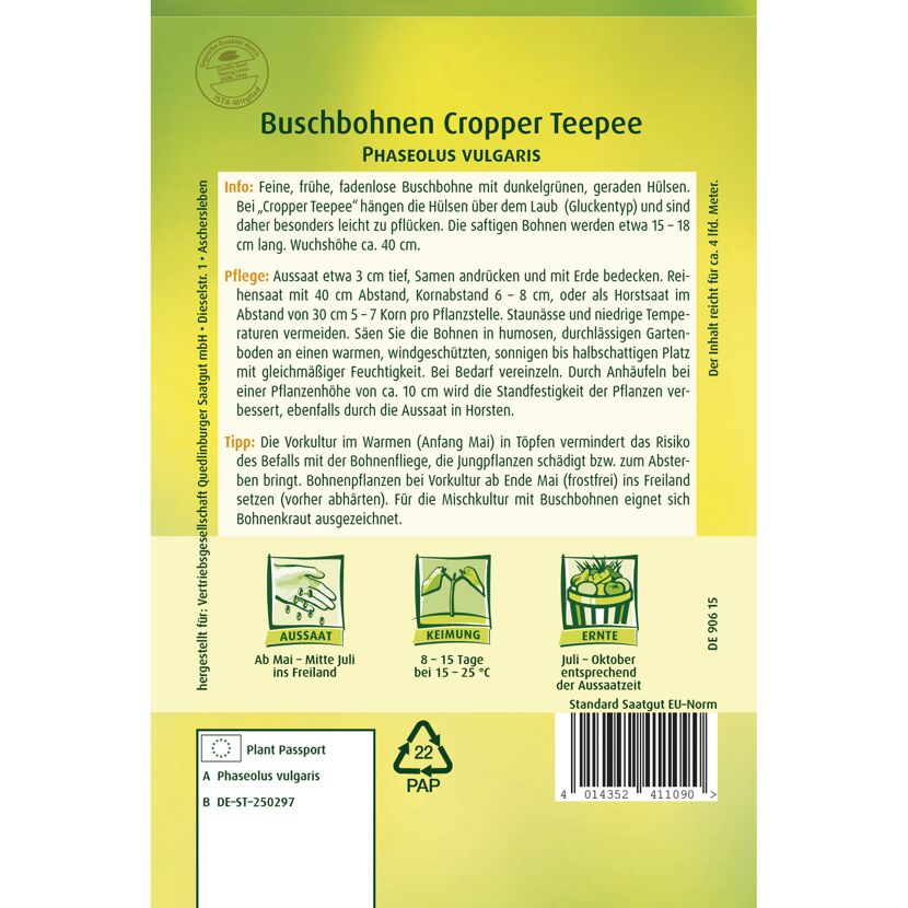 Buschbohnen 'Cropper Teepee'
