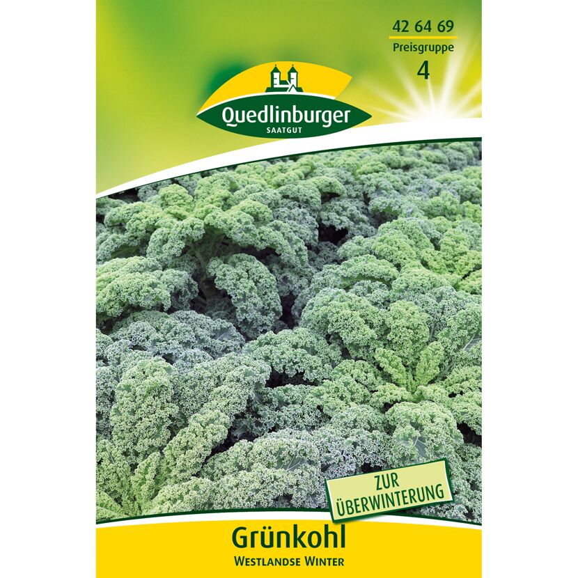 Grünkohl 'Westlandse Winter'