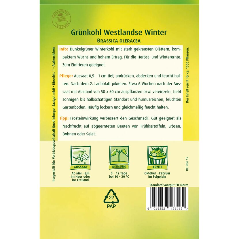 Grünkohl 'Westlandse Winter'