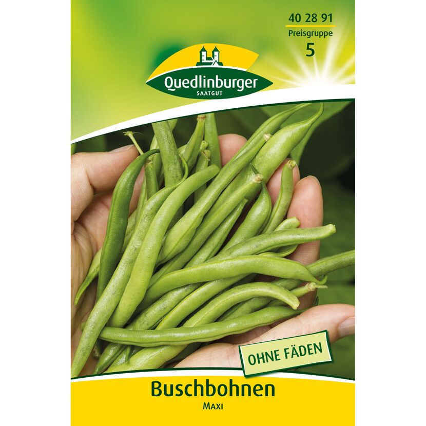 Buschbohnen 'Maxi'