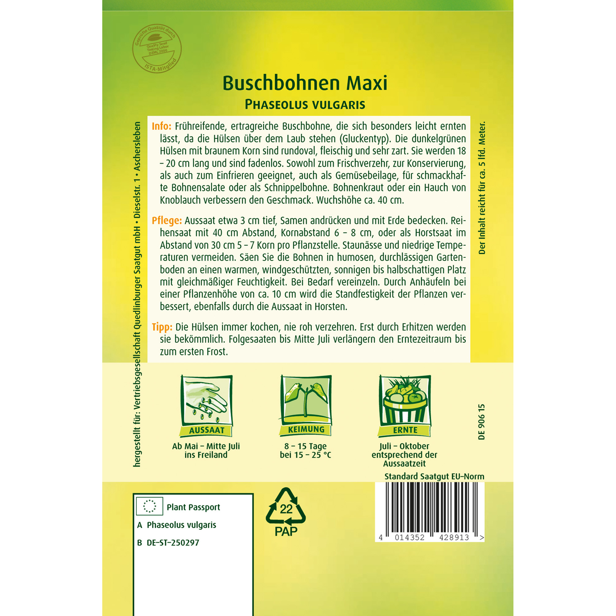 Buschbohnen 'Maxi'