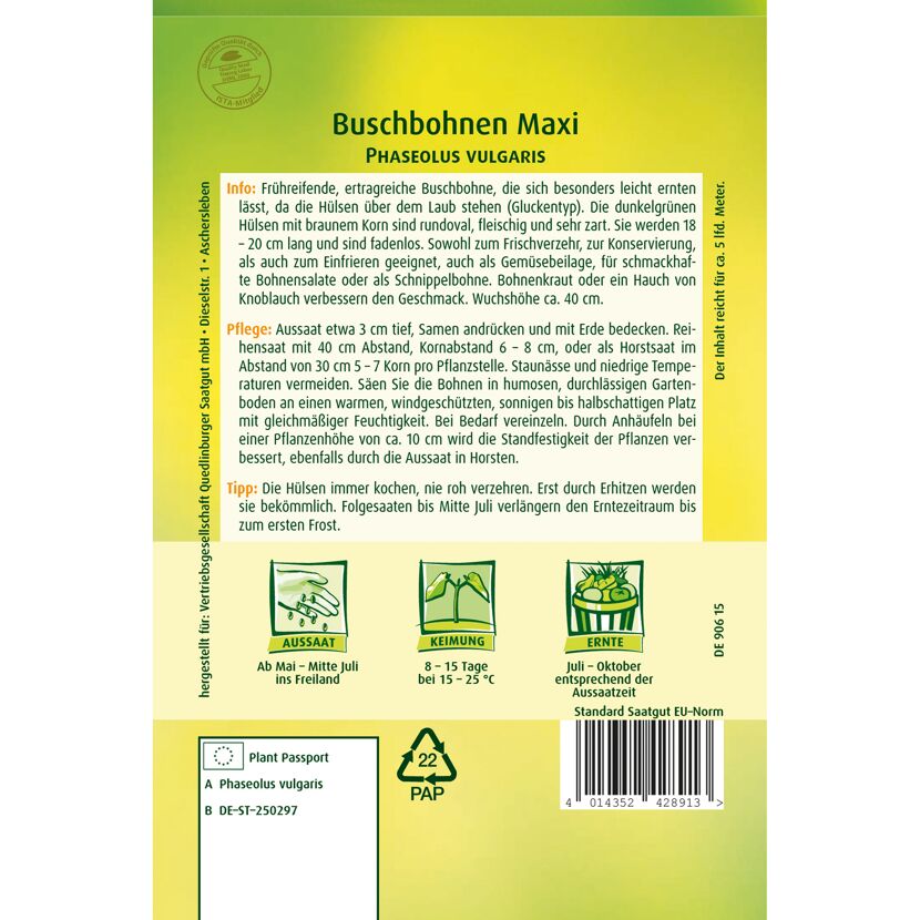 Buschbohnen 'Maxi'