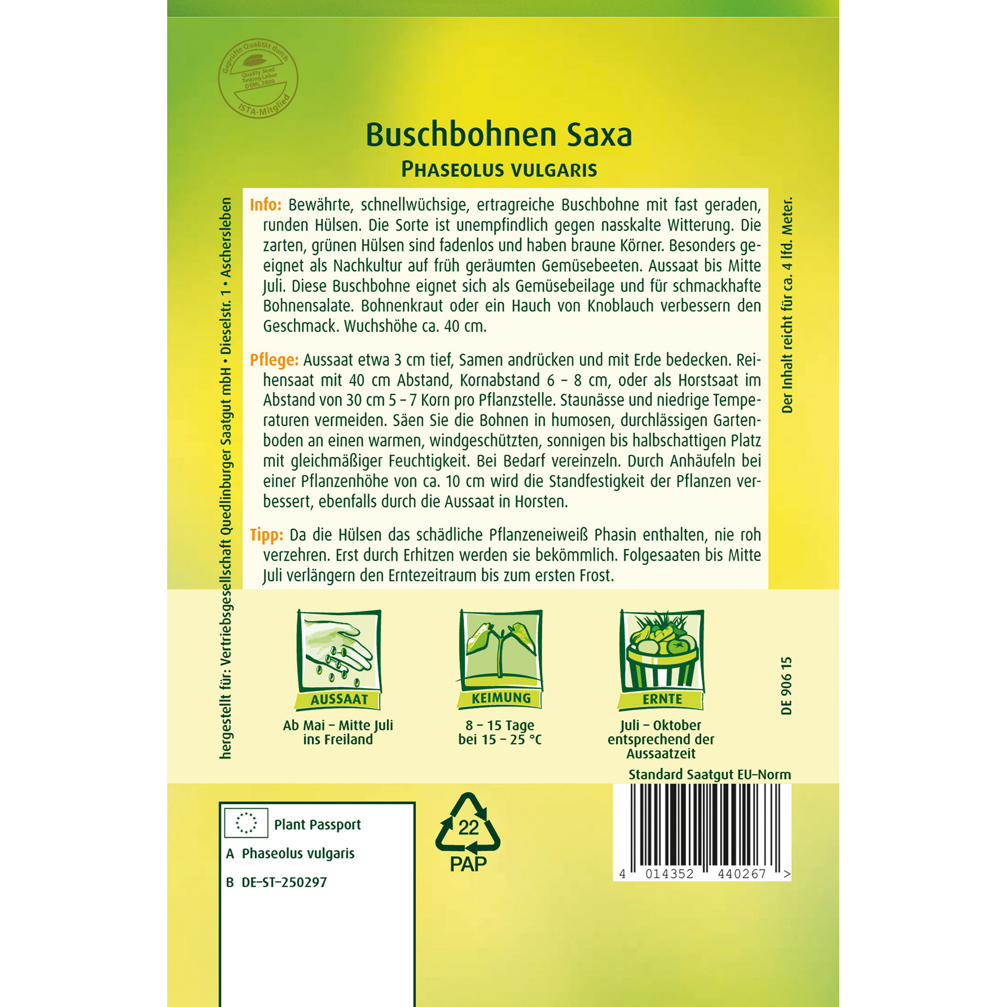 Buschbohnen 'Saxa'