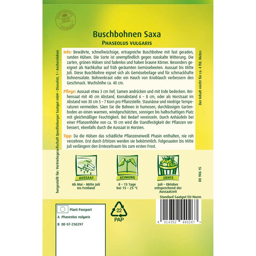 Buschbohnen 'Saxa'