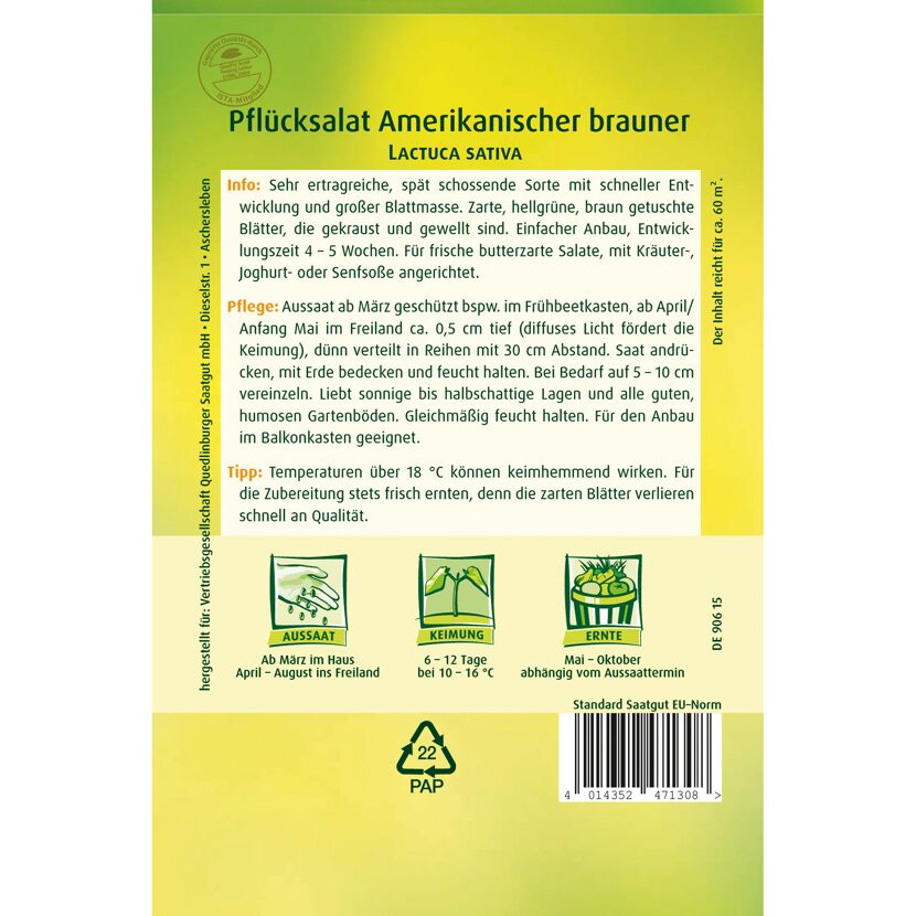 Pflücksalat 'Amerikanischer Brauner'