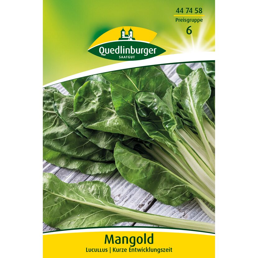 Mangold 'Lucullus'