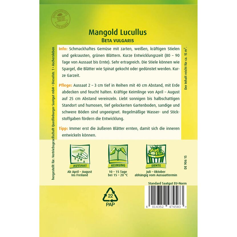 Mangold 'Lucullus'