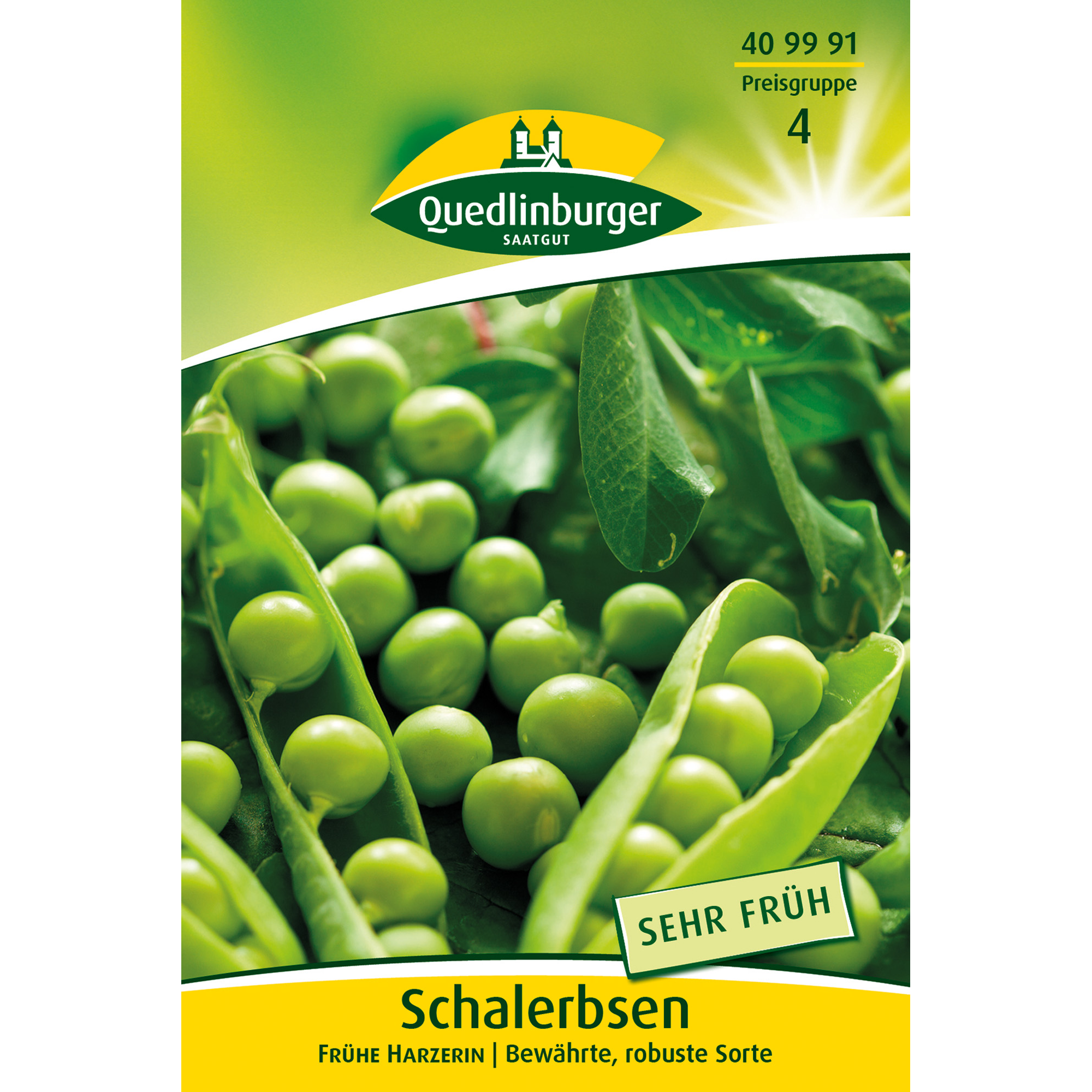 hauptbild