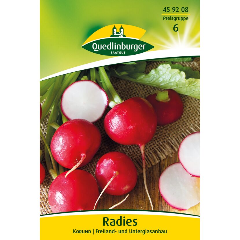Radies 'Korund'