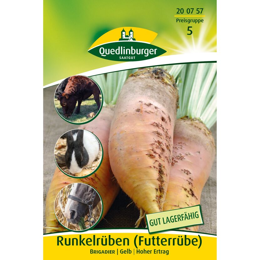 Runkelrüben 'Brigadier'