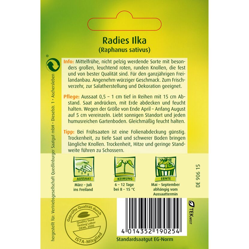 Radies Ilka (Raphanus sativus) Samen
