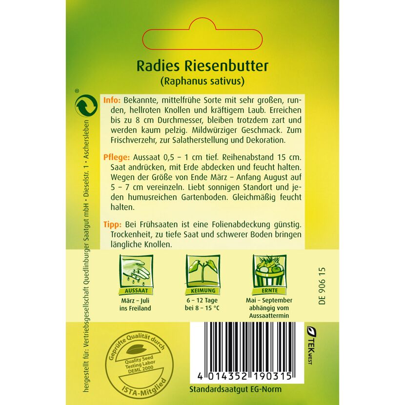 Radies Riesenbutter Saatgut