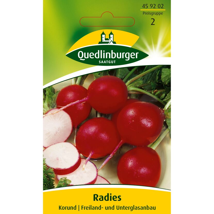 Radies Korund, Saatgut von Quedlinburger