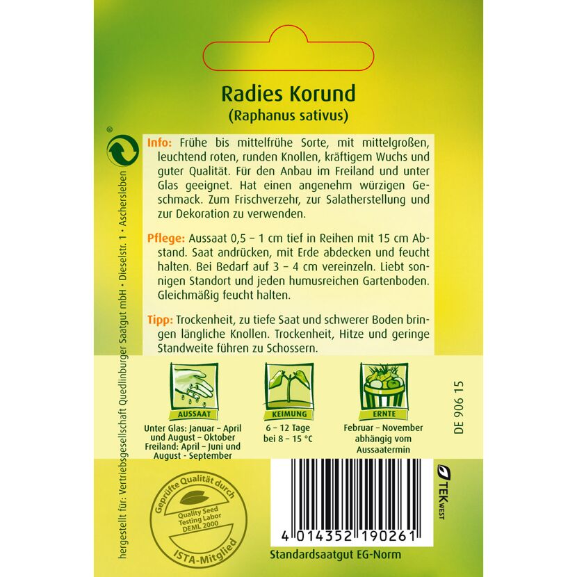 Radies Korund (Raphanus sativus)