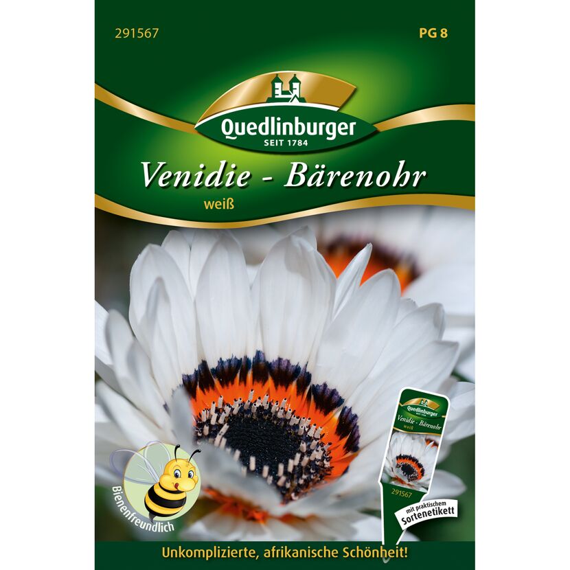 Venidie-Bärenohr