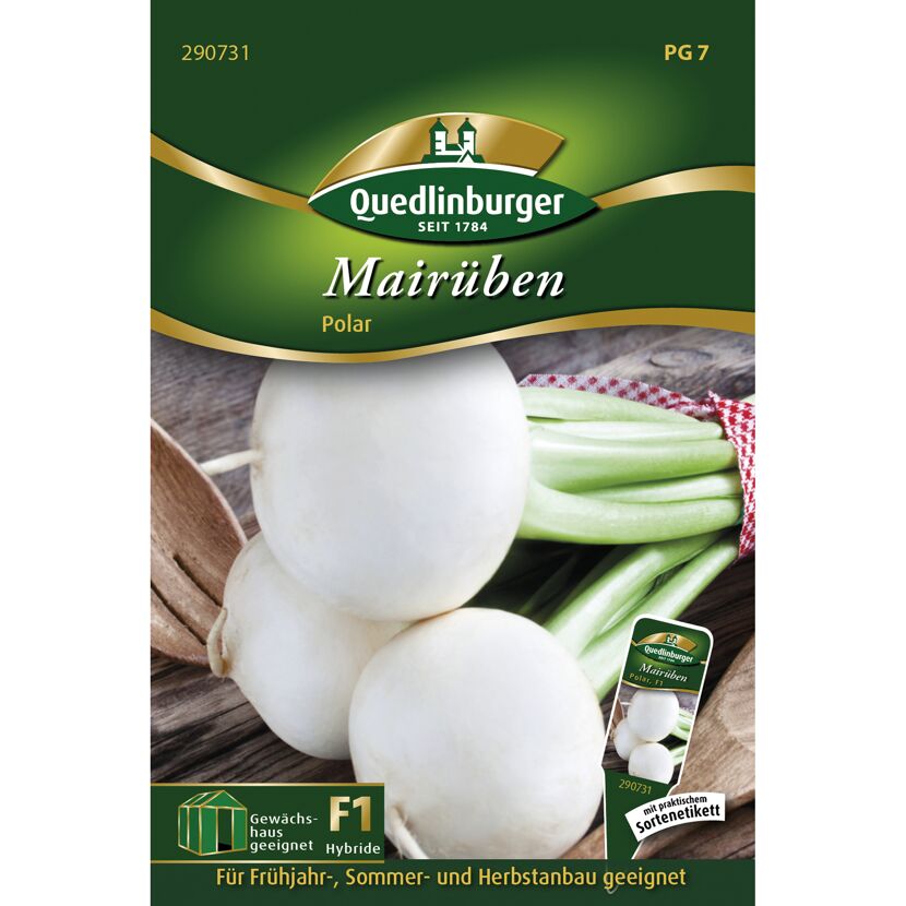 Mairüben 'Polar'