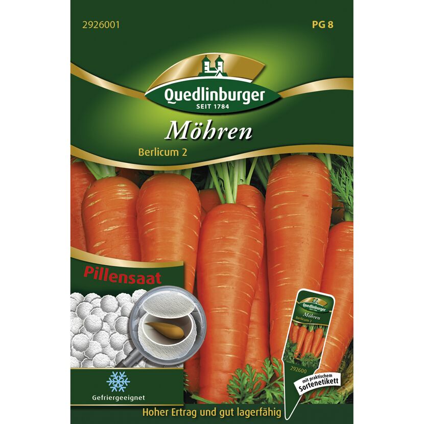 Möhren 'Berlicum 2'