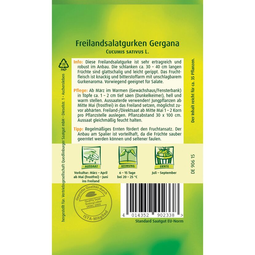 Freilandsalatgurken 'Gergana'