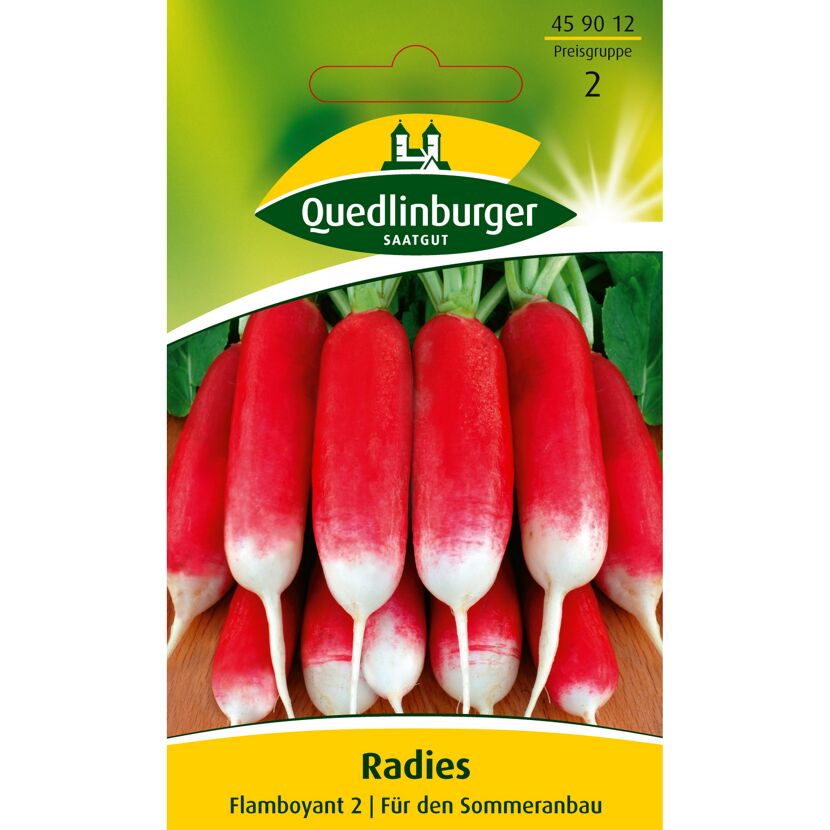 Radies Flamboyant 2 für den Sommeranbau