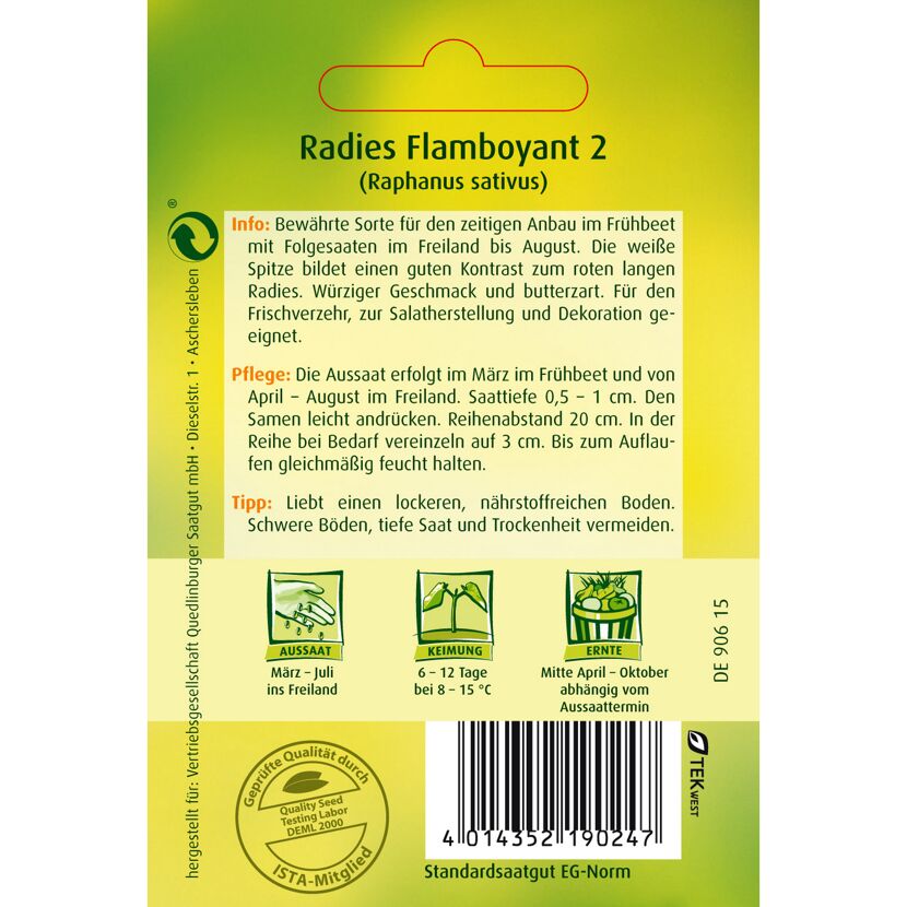 Radieschen Flamboyant 2, Aussaat, Keimung, Ernte