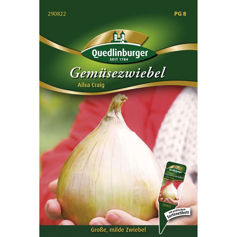 Gemüsezwiebel 'Ailsa Craig'