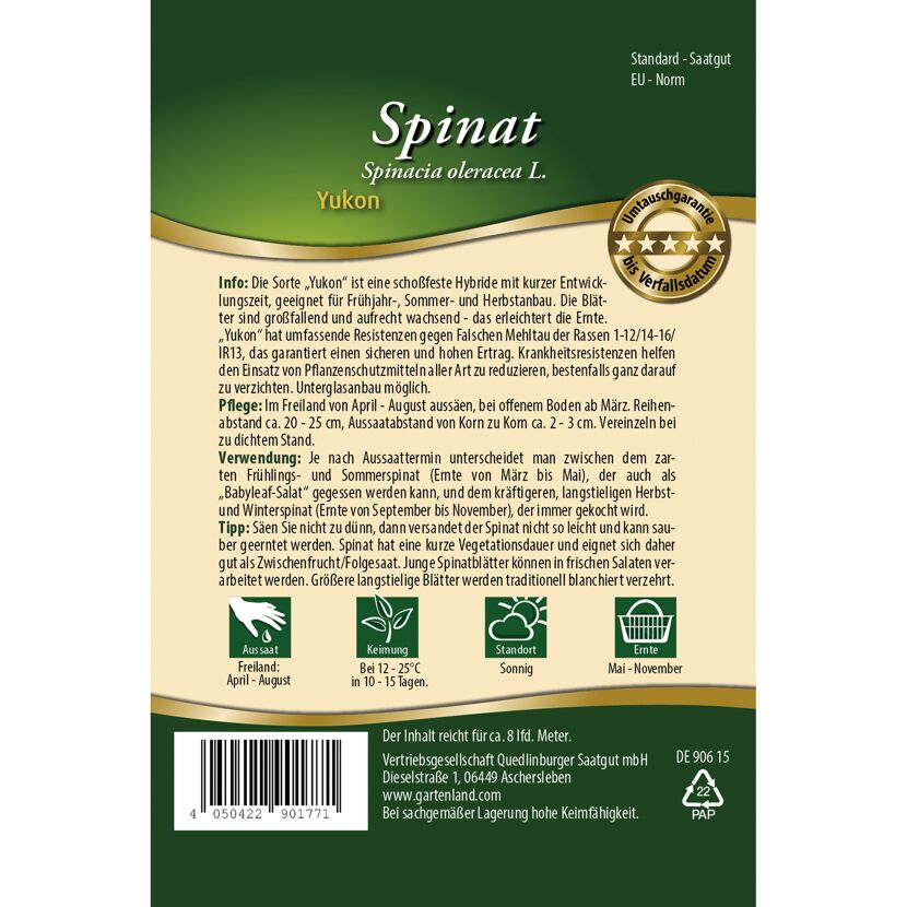 Spinat 'Yukon'
