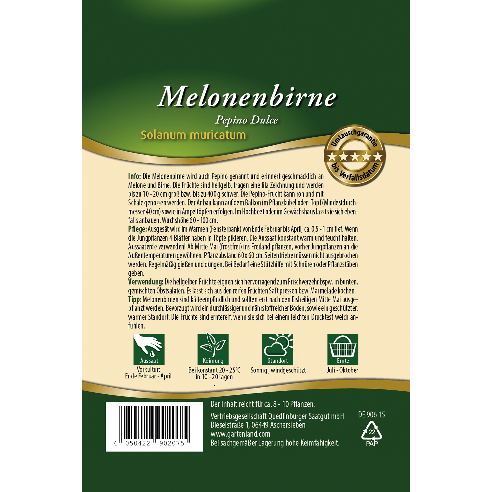 Melonenbirne 'Pepino Dulce'