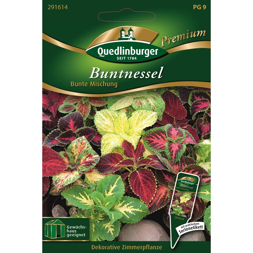 Buntnessel Mischung