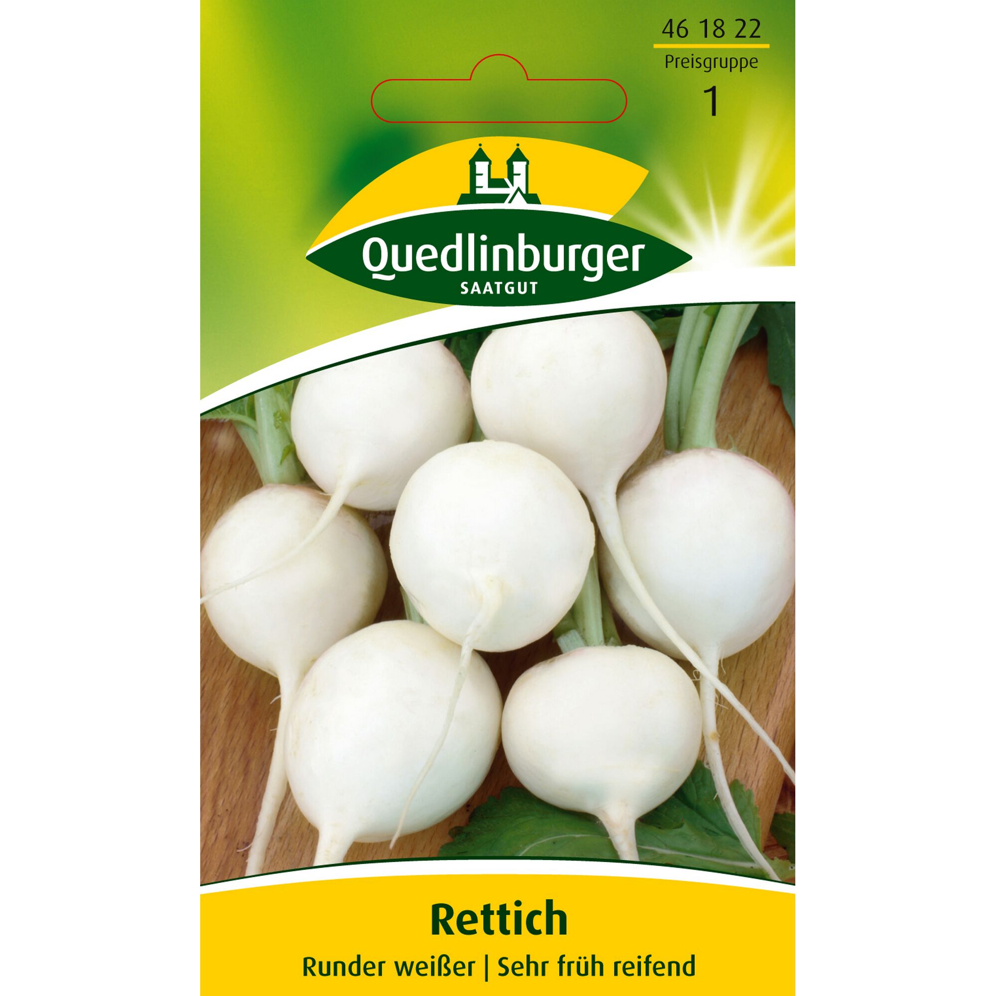 Rettich, runder weißer