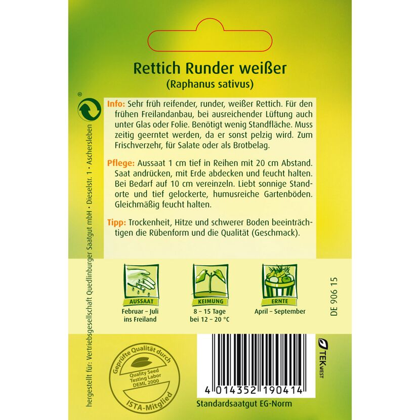 Rettich Runder weißer, Aussaat, Keimung, Ernte