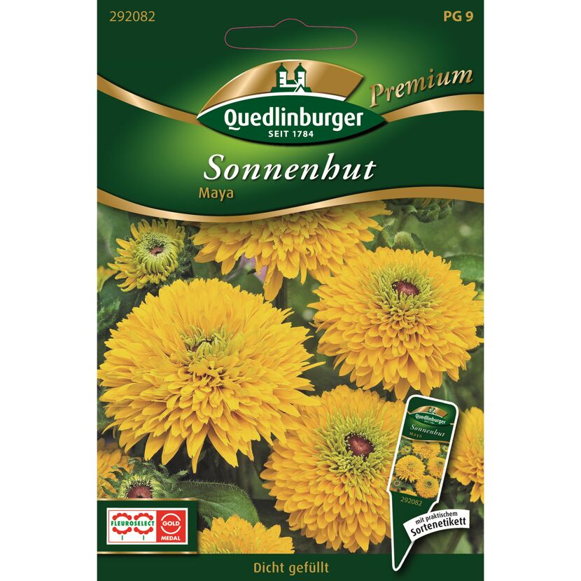 Sonnenhut 'Maya'