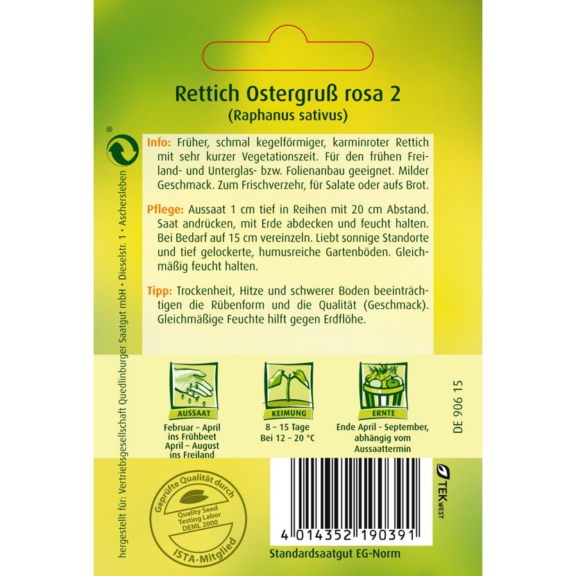 Rettich Ostergruß rosa 2, Aussaat, Keimung, Ernte