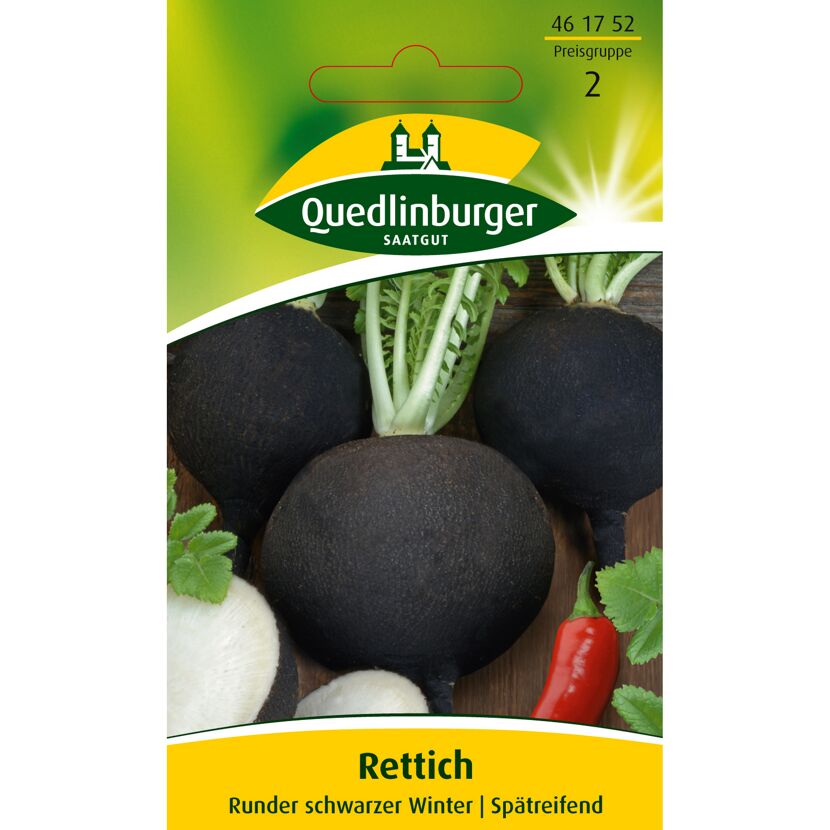 Runder schwarzer Winterrettich, ganz und halbiert, sowie eine Chilischote