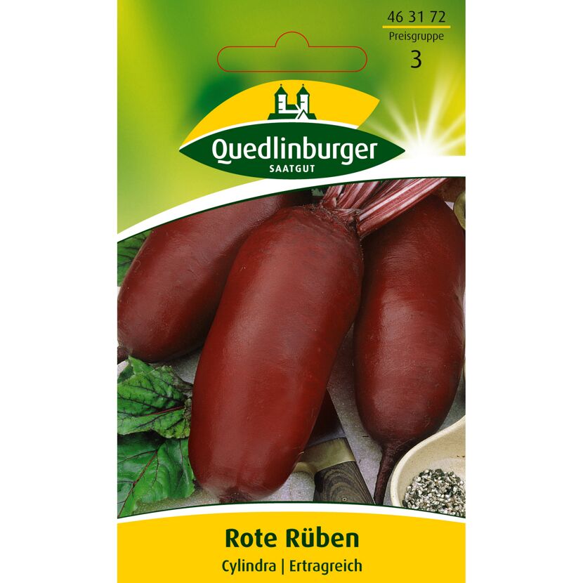 Rote Rüben Cylindra, ertragreich