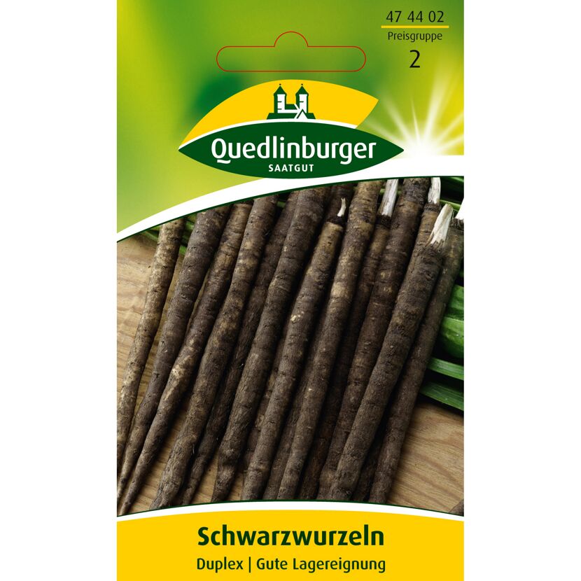 Schwarzwurzeln Duplex