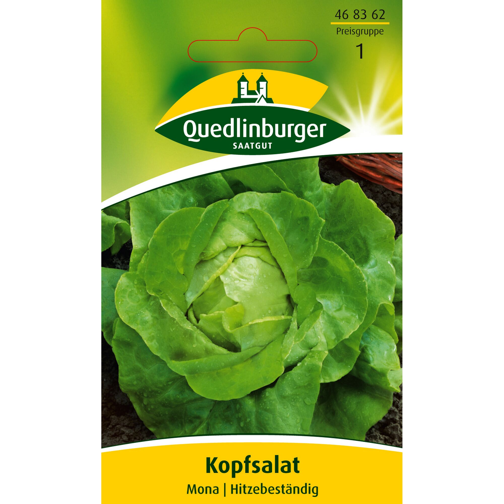 Kopfsalat Mona, Hitzebeständig von Quedlinburger Saatgut