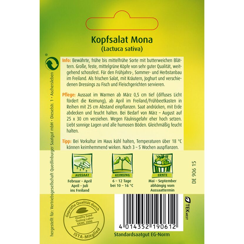 Kopfsalat Mona, Aussaat, Keimung, Ernte