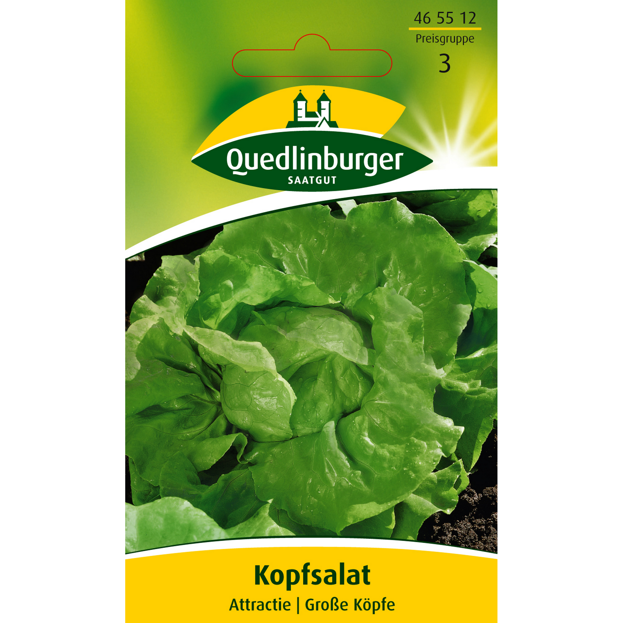 Kopfsalat 'Attractie' + product picture