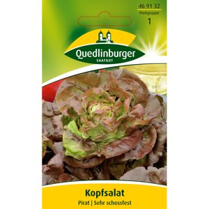 Kopfsalat 'Pirat'