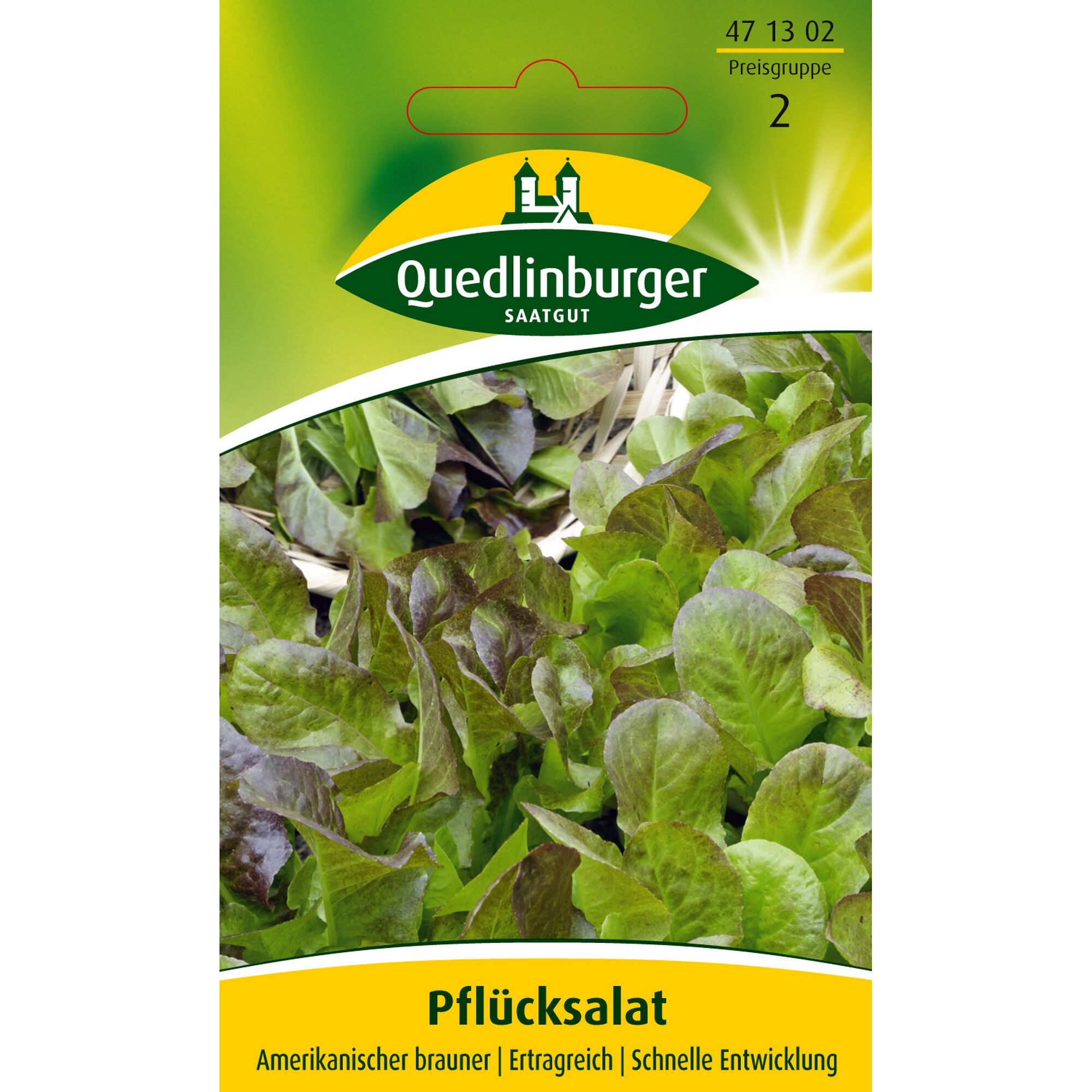 Amerikanischer brauner Pflücksalat von Quedlinburger