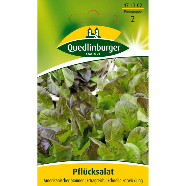 Bild von Pfluecksalat 'Amerikanischer brauner'