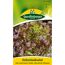Eichenlaubsalat Red Salad Bowl Saatgut