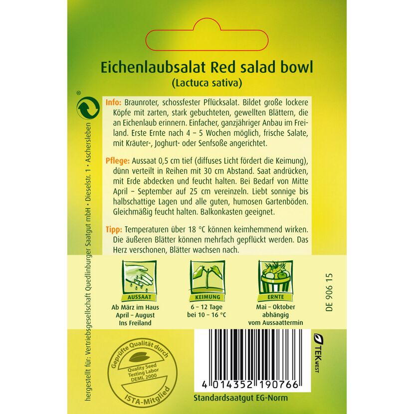 Eichenlaubsalat Red Salad Bowl - Aussaat, Keimung, Ernte