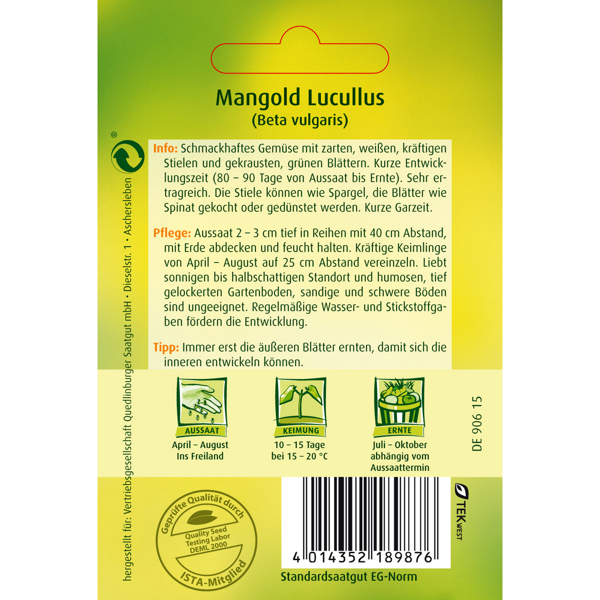 Mangold 'Lucullus' + product picture