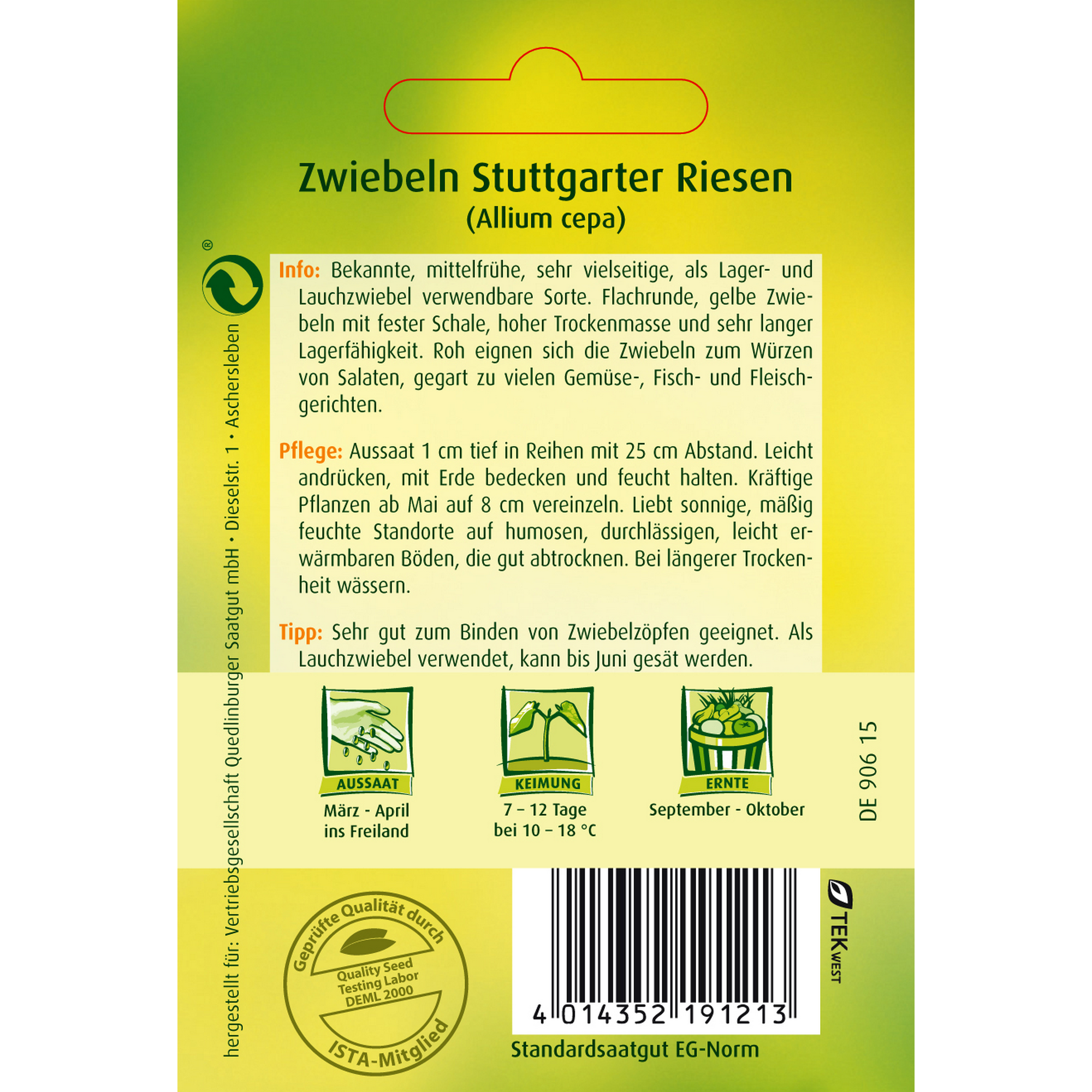 Zwiebel 'Stuttgarter Riesen' + product picture