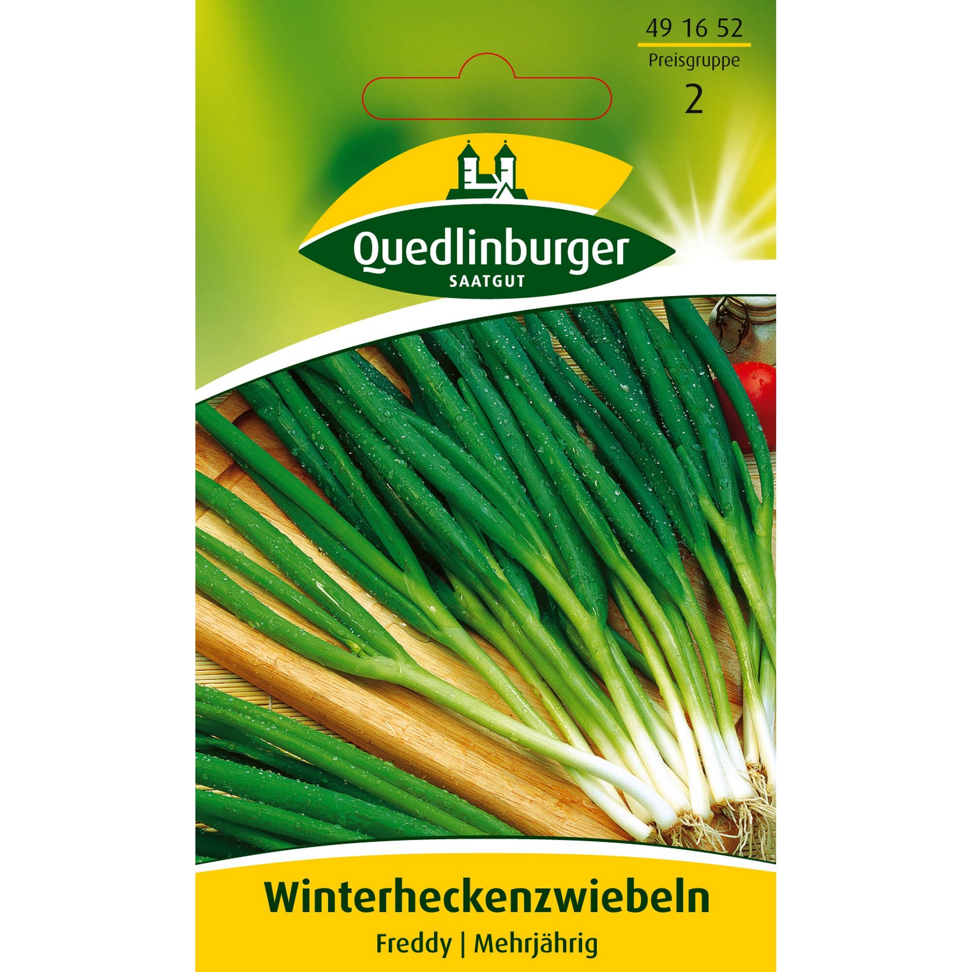 Winterheckenzwiebeln Freddy