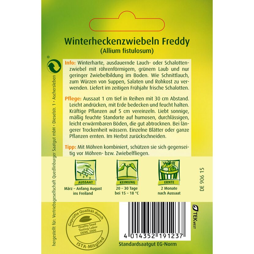 Winterheckenzwiebeln Freddy (Allium fistulosum)