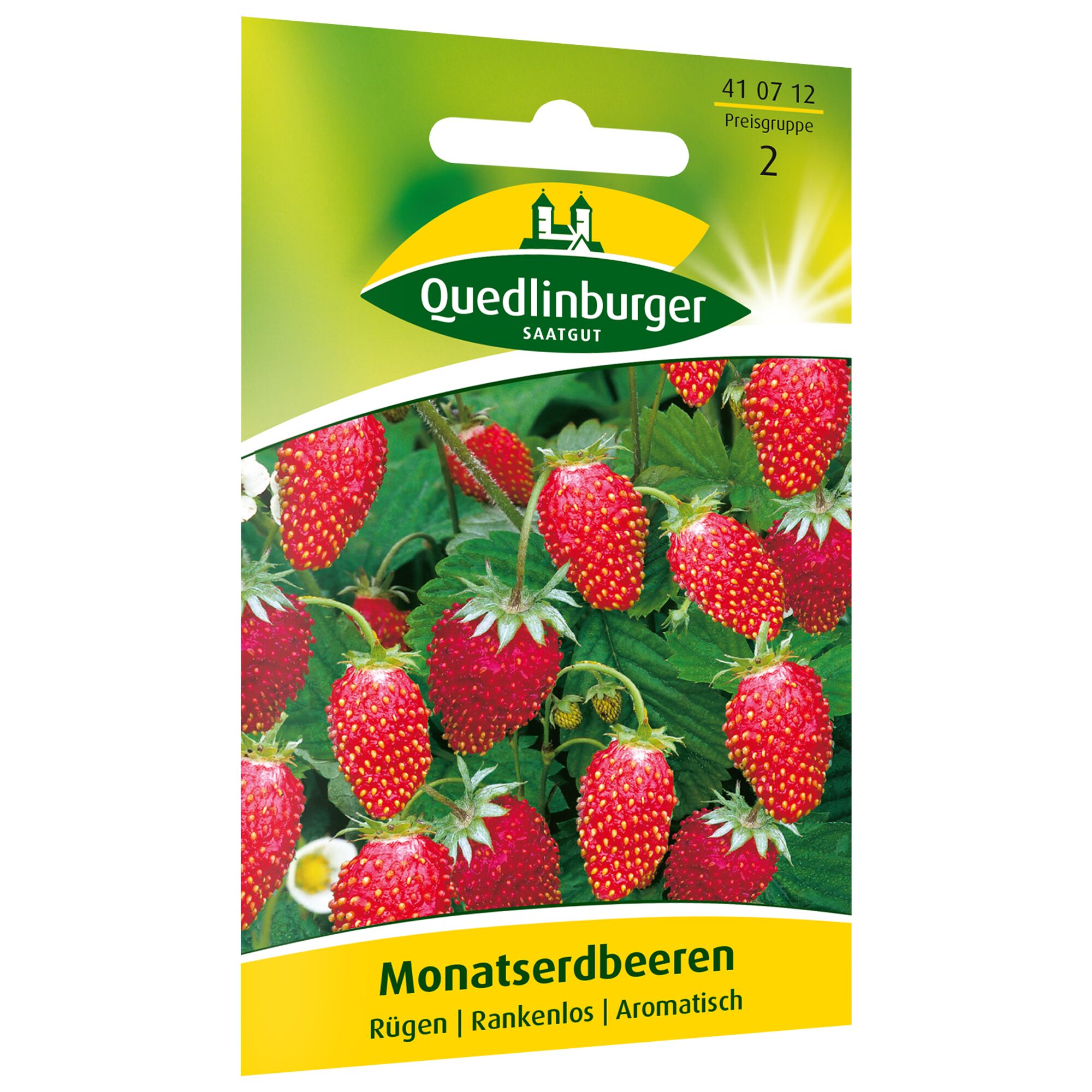 Monatserdbeeren Rügen auf einer Pflanze.