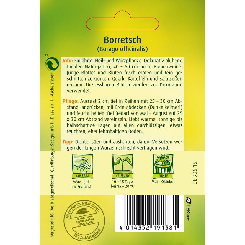 Borretsch Aussaat, Wachstum und Ernte