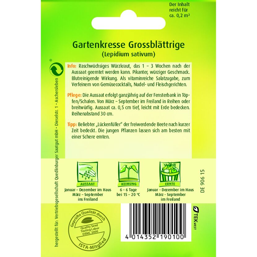Gartenkresse Grossblättrige (Lepidium sativum)